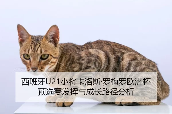 西班牙U21小将卡洛斯·罗梅罗欧洲杯预选赛发挥与成长路径分析